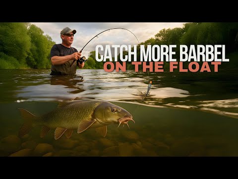 Float Fishing For Barbel | Tips | Catch More barbel | Korum