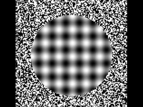 The Human Beans - Morning Dew