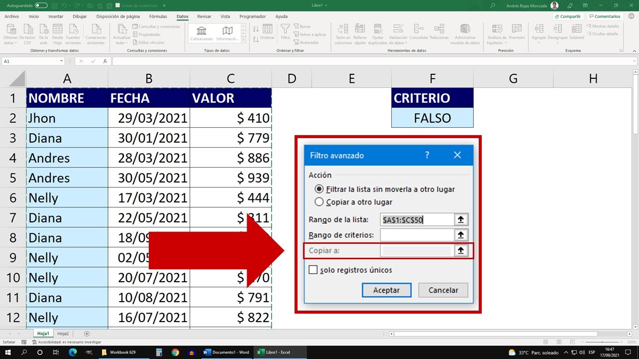 Aprenda a Usar Correctamente los Filtros Avanzados en Excel para Copiar Datos en otras Hojas