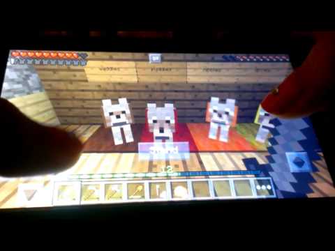 Feather adventures/Episode 2