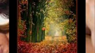 Ich lieb dich jeden tag ein bisschen mehr.wmv