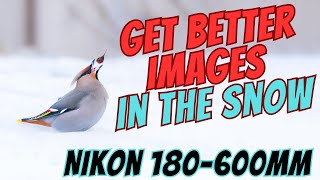 Tips and Tricks for Good Exposure, Foreground, and Bokeh in the Snow - Z9 | Nikon 180-600mm