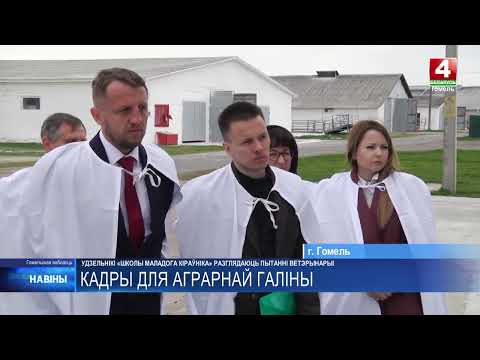 Около 30 участников проекта «Школа молодого руководителя» в Гомеле изучают вопросы ветеринарии видео
