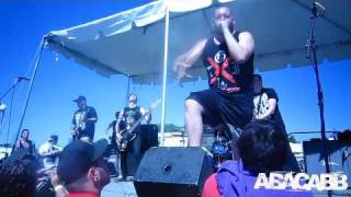 Survivalist Abacabb Live [HD]