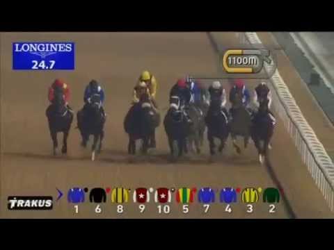 31.12.2014 Meydan (Dubai-UAE) 4.Race EGA Excellence Trophy - Handicap 1.400 m
