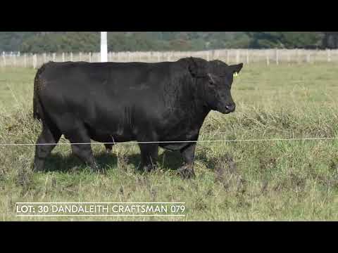 Lot 30 DANDALEITH CRAFTSMAN 079