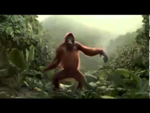 Mono bailando,hoy es viernes joda,joda