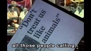 Jade Steel BURNING RAINFOREST.mov