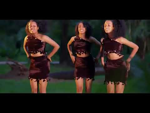 wasanuu damisee sirba haaraa