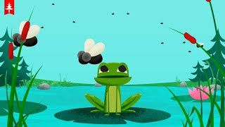 Kapu Forest Game for Kids by Kapu Toys Fun and Colorful Educational Game for Kids Aged 1 - 4 Years