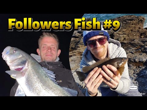 FOLLOWERS FISH Part 9 Sea Fishing Catches from you guys! Chesil, Devon, Bristol Channel UK Angling