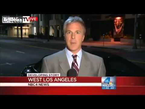 La blatta in diretta sul giornalista  - Cockroach live on anchor man