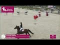 À VENDRE – Poney sport CSO - 10 ans
