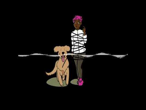 #12 Leinenführung & Leinenhandling - Diese Bausteine solltest du beachten!