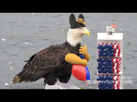 Srácok szerintem mára elég lesz a netből