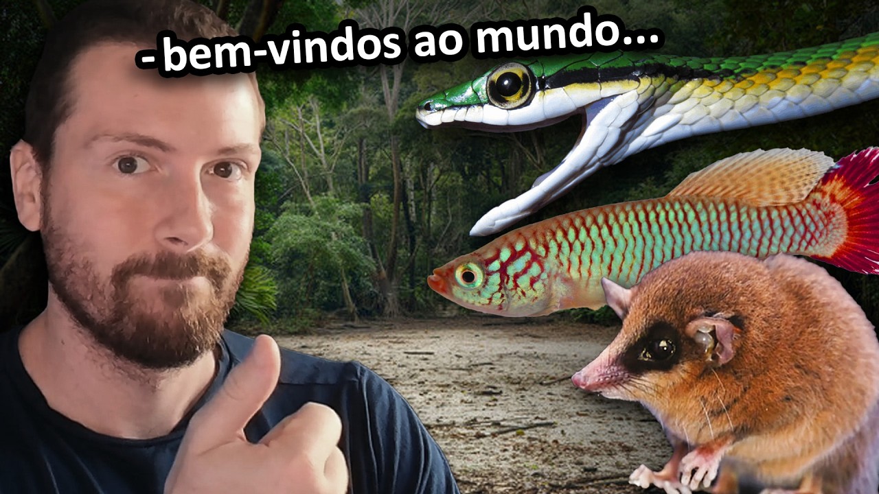 As melhores NOVAS ESPÉCIES descobertas