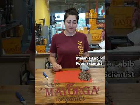 Mayorga Organics: Cacao Quality Control Process