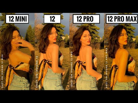 iPhone 12 Mini VS iPhone 12 VS iPhone 12 Pro VS iPhone 12 Pro Max CAMERA COMPARISON | Winner?