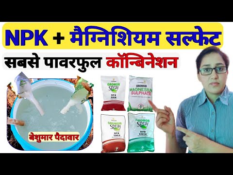 मैग्निशियम सल्फेट + NPK का सही इस्तेमाल Magnesium sulfate fertilizer | npk fertilizer use | NPK
