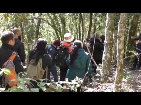 Visit to the National Nonguén Reserve, Bio-Bio, Chile, 13 October 2019 (in Spanish)