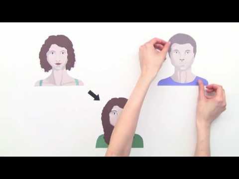 Was ist die Meiose? | Biologie | Genetik