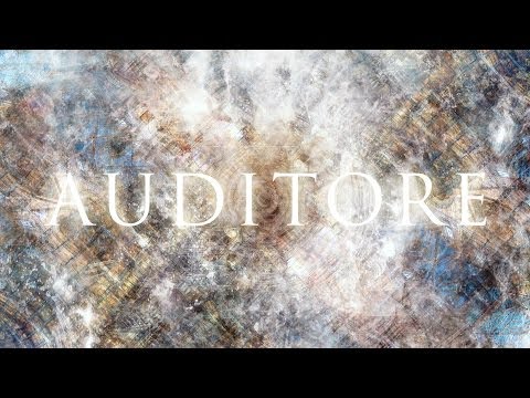 Thy Veils - Auditore