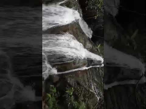 Santiago de Cuba guama rió peladeros