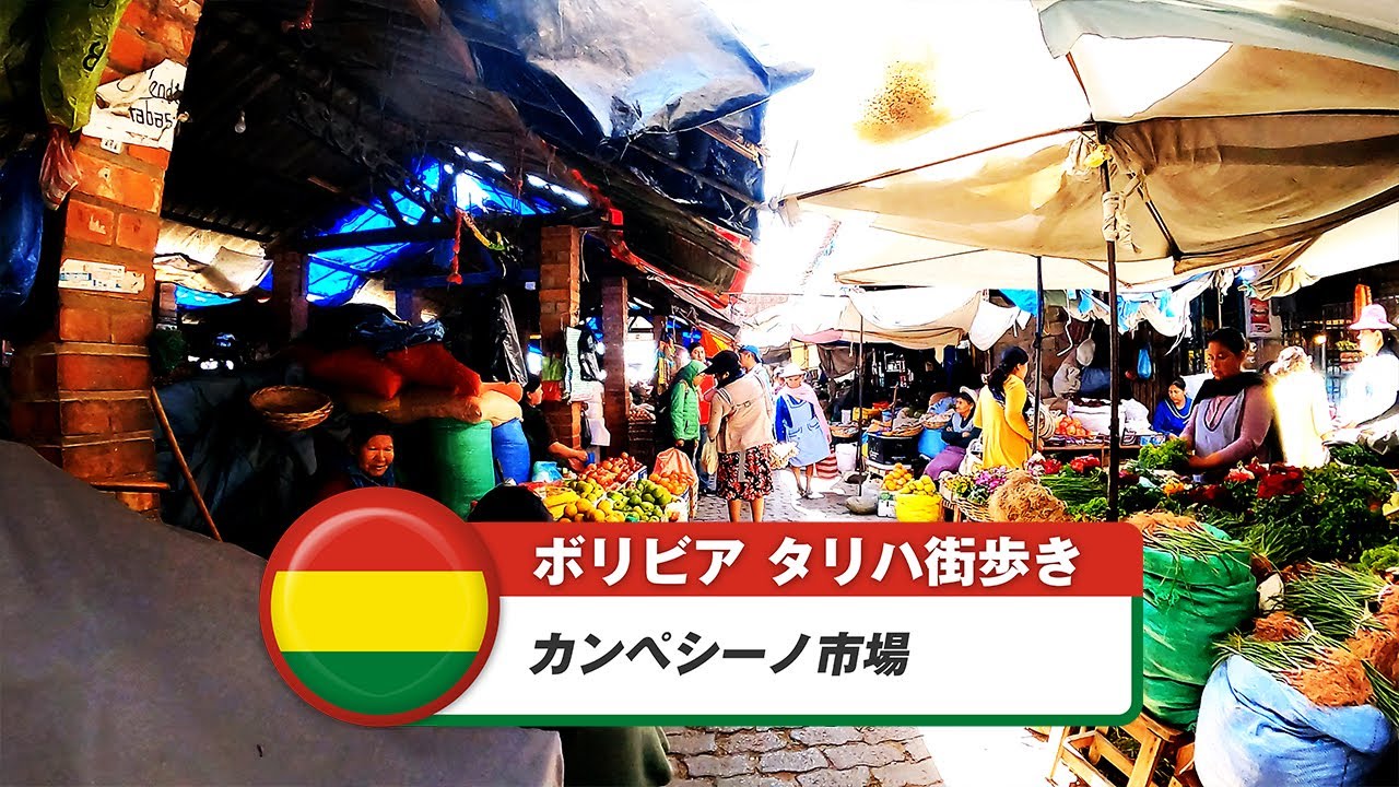 【ボリビア】タリハ⑨カンペシーノ市場