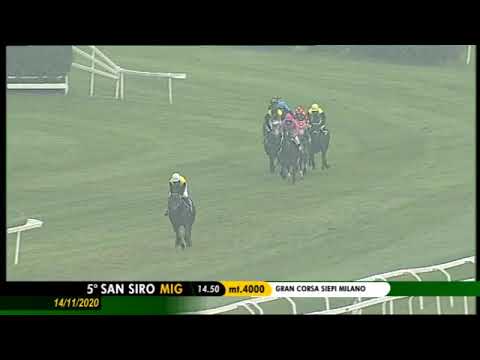 2020.11.14 Gran Corsa Siepi di Milano (ITA) - Skins Rock