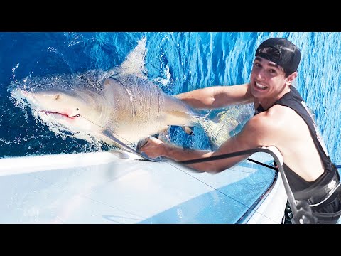 I CAUGHT THE WORLD’S BIGGEST SHARK!
