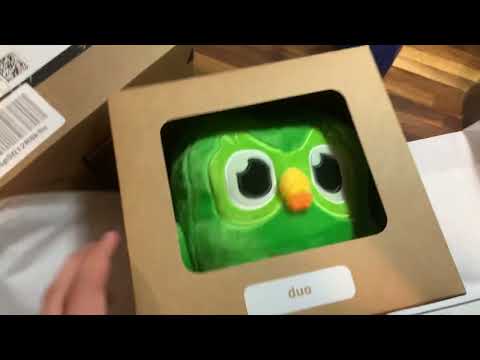 An ape 🦧 recieves a «Duolingo» owl 🦉 as a present 🎁