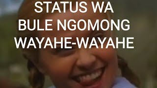 Download lagu STATUS WA, WAYAHE-WAYAHE, VIDEO LUCU, BULE JAWA, mp3
