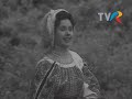 Angelica Stoican