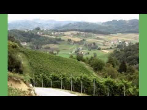 SUZE ZA ZAGORSKE BREGE & ▒░ ĐURO ░▒