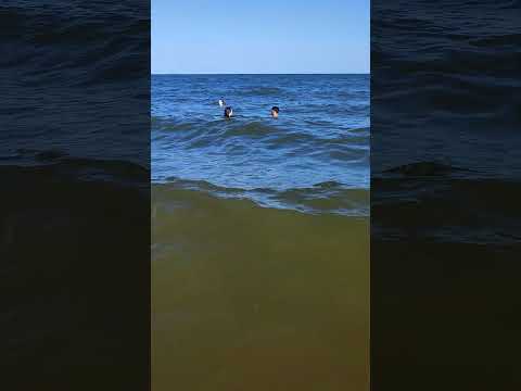 Playas de Uruguay, Salinas Canelones #relax #uruguay #playa #viral