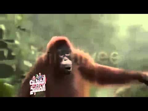 ضحك من القلب 2016