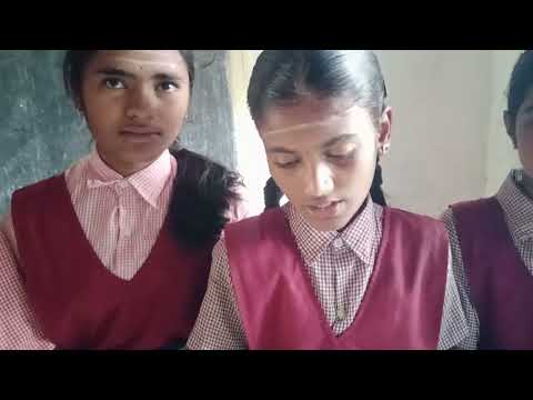 Tests for Acids and Basis by natural indicators(2)