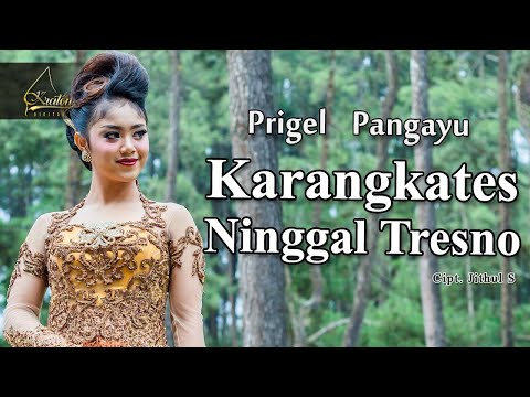 Prigel Pangayu - Karangkates Ninggal Tresno (Official Music Video)