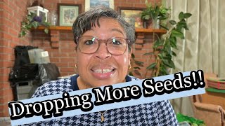 Kickstart Your SUMMER Garden with These Seed Starting Tips!