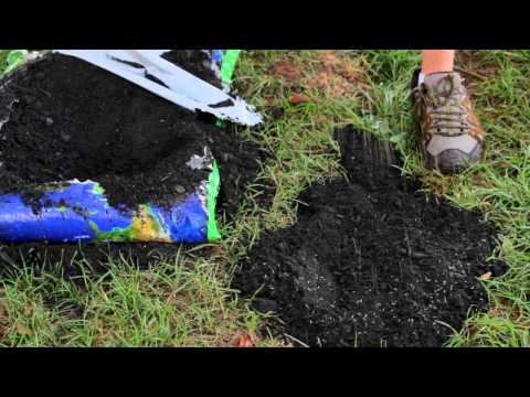 Part of a video titled How to Repair Yard Sinkholes : Designed Landscapes - YouTube