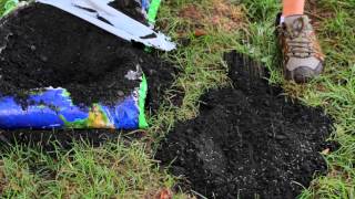 How to Repair Yard Sinkholes : Designed Landscapes