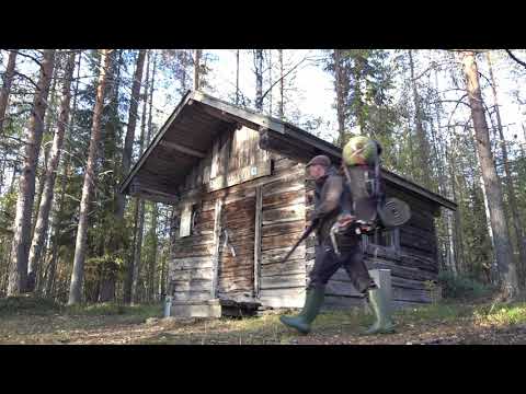 September: Wilderness Cabin | Black Grouse hunting | Off-Grid Cabin Life