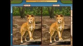 Putování za zvířaty 5