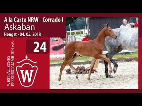 024  Askaban HF v. A la Carte NRW - Corrado I