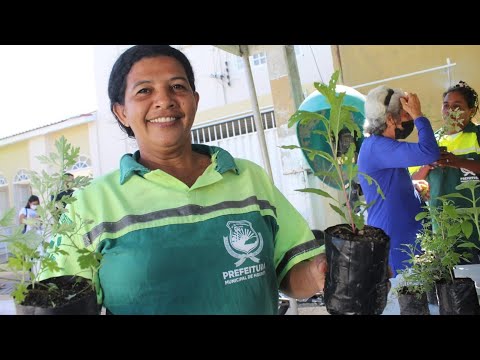 "Mossoró Verde" promove "drive-thru" de recicláveis no bairro Alto de São Manoel