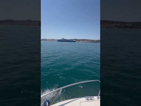 Dolphings Across the Ionian