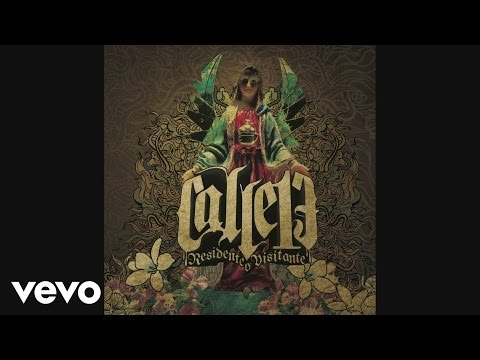 La Cumbia De Los Aburridos - Calle 13