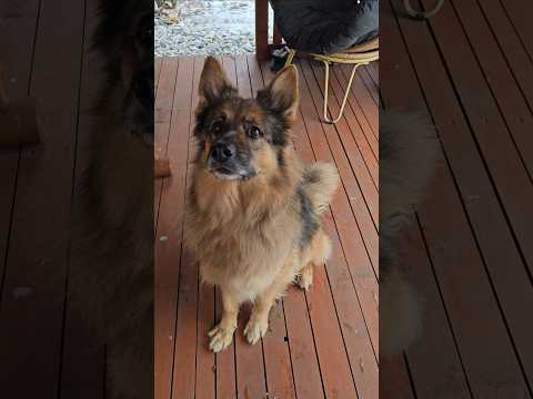 CIEKAWE CO PRZYNIESIE