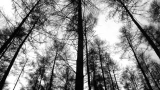 Celestial Season - Afterglow