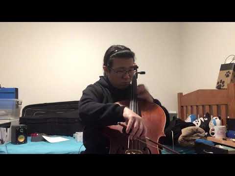 Tarantella Squire 8/9/2021